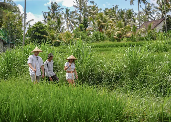 De Umah Bali Eco Tradi 3*