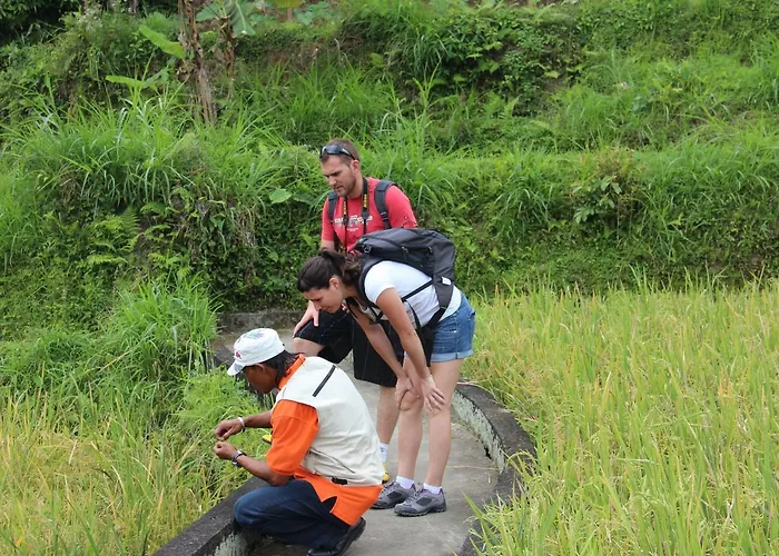 De Umah Bali Eco Tradi Bangli
